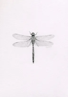 Mini one-off original 'Dragonfly'