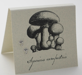 Mushroom Stud Earrings